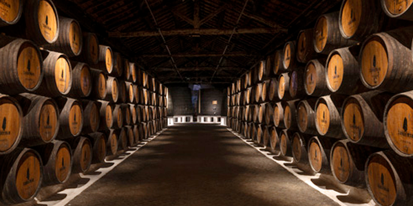 Cuevas de Vino oporto