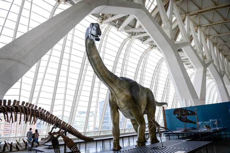 Viajar con niños al Museo de las Ciencias de Valencia: aprende y juega en familia