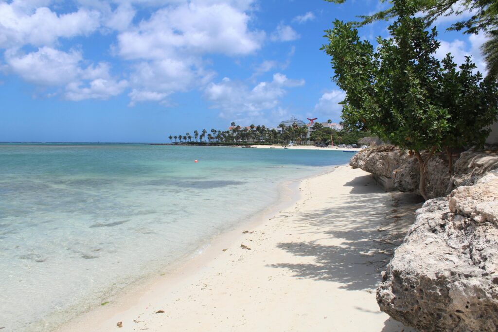 La Playa de Eagle ​ es una playa de Aruba