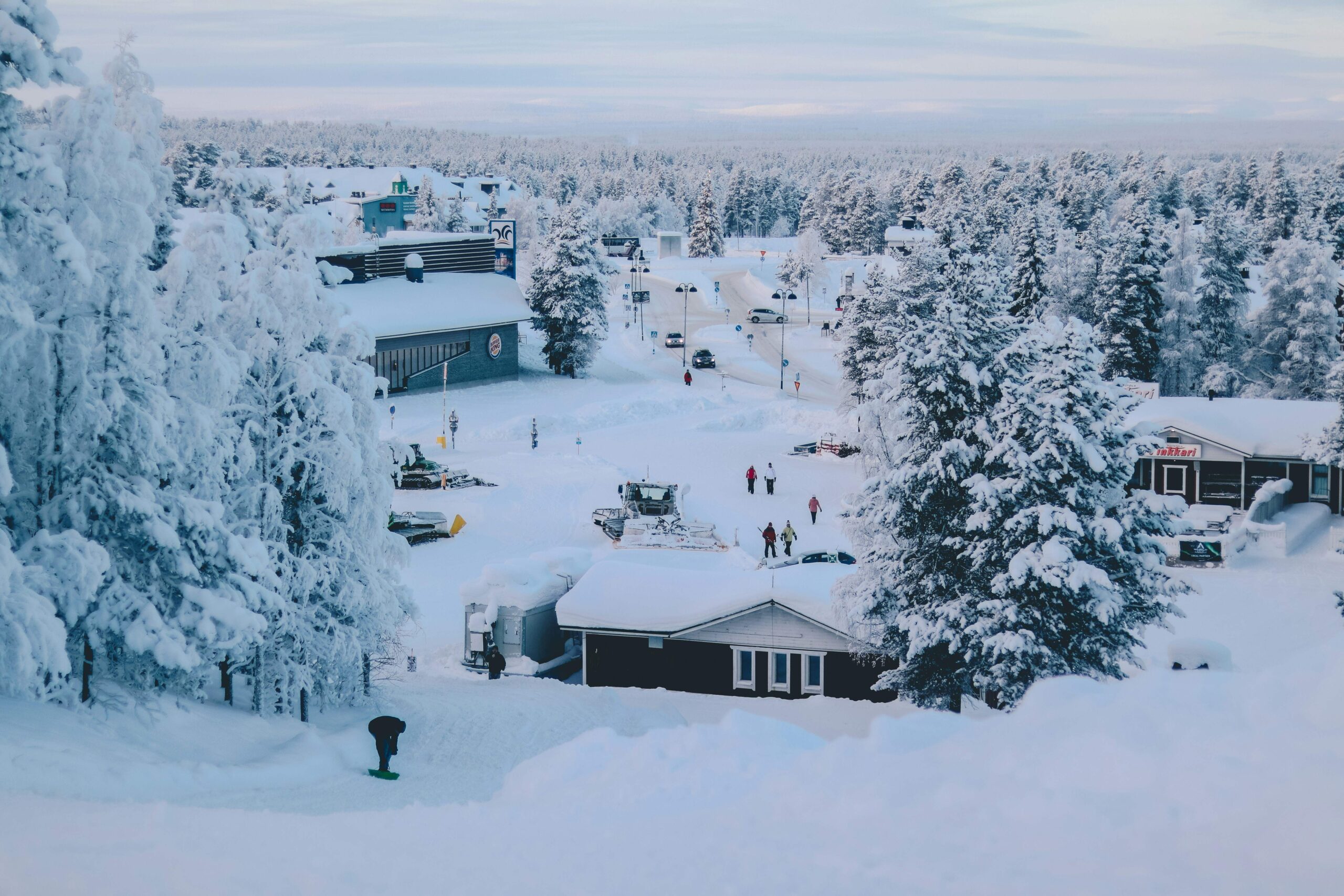 La naturaleza ártica