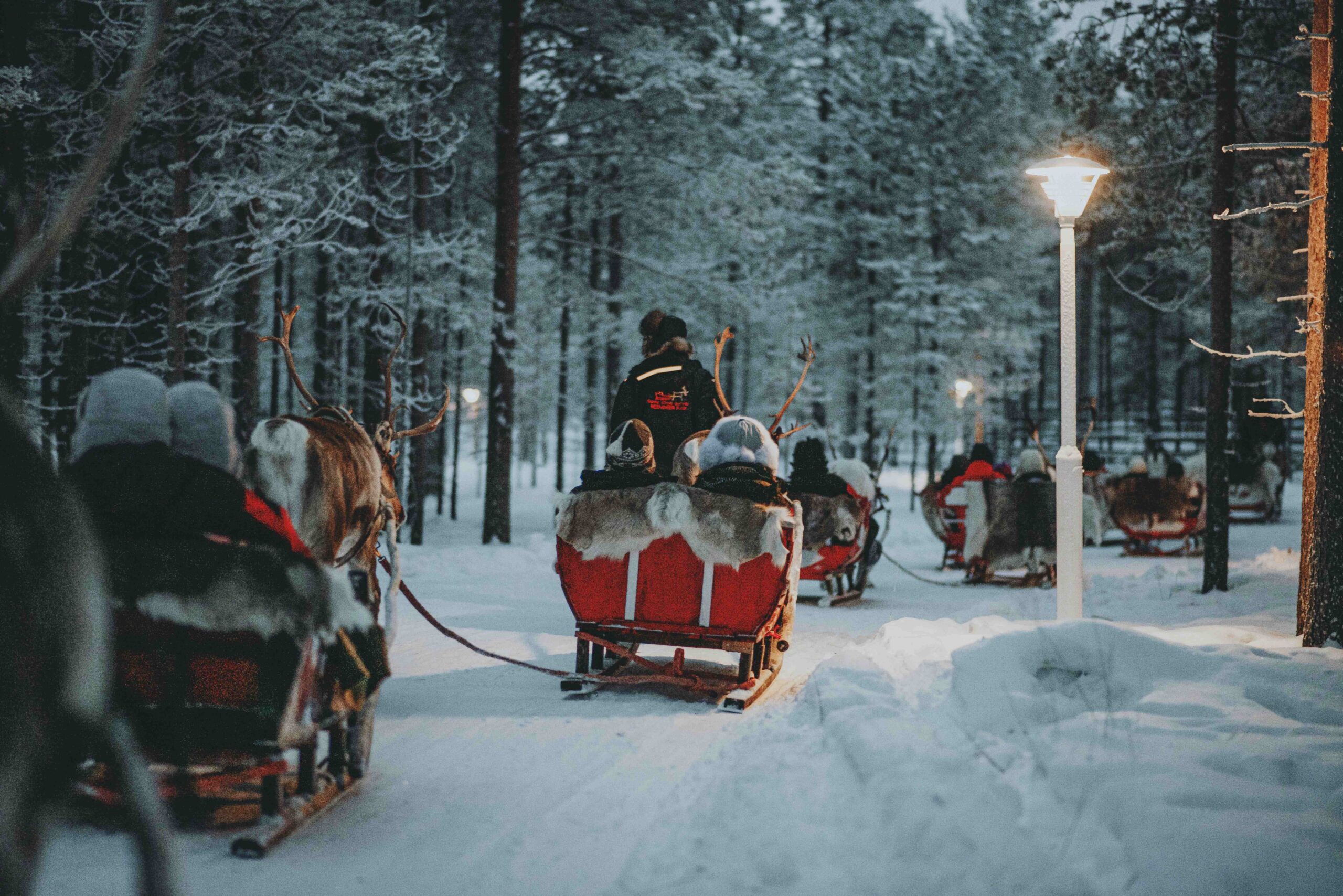 Safari en Trineo de Huskies y Renos